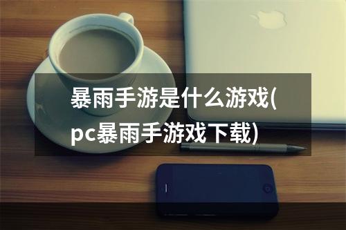 暴雨手游是什么游戏(pc暴雨手游戏下载)