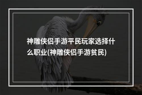 神雕侠侣手游平民玩家选择什么职业(神雕侠侣手游贫民)