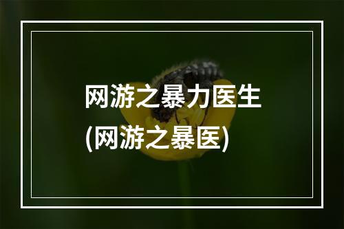 网游之暴力医生(网游之暴医)