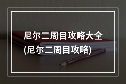 尼尔二周目攻略大全(尼尔二周目攻略)