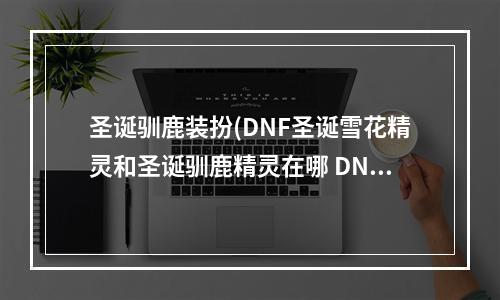 圣诞驯鹿装扮(DNF圣诞雪花精灵和圣诞驯鹿精灵在哪 DNF圣诞节罢工大)