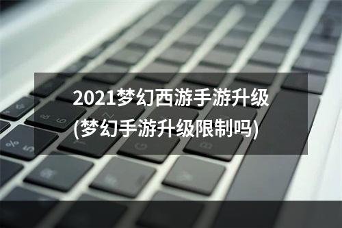 2021梦幻西游手游升级(梦幻手游升级限制吗)