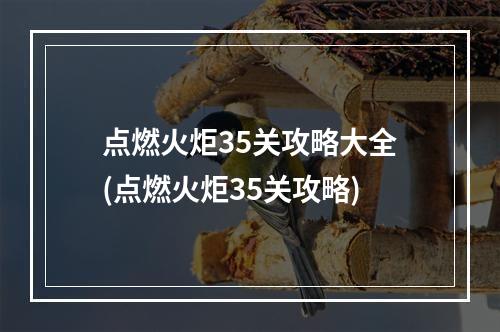 点燃火炬35关攻略大全(点燃火炬35关攻略)