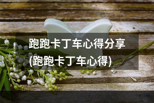 跑跑卡丁车心得分享(跑跑卡丁车心得)