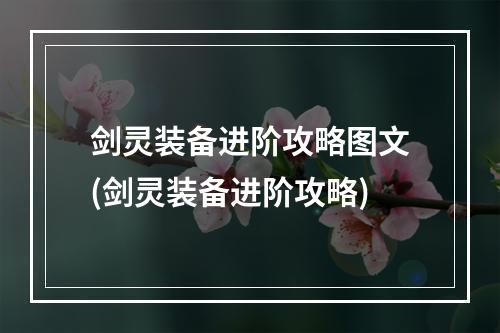 剑灵装备进阶攻略图文(剑灵装备进阶攻略)