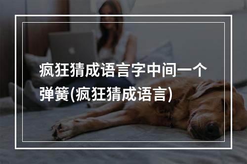 疯狂猜成语言字中间一个弹簧(疯狂猜成语言)