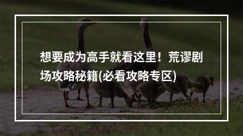 想要成为高手就看这里！荒谬剧场攻略秘籍(必看攻略专区)