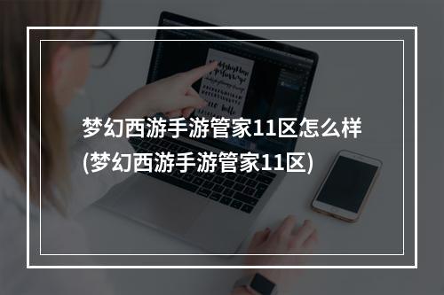 梦幻西游手游管家11区怎么样(梦幻西游手游管家11区)