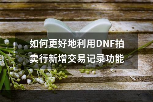 如何更好地利用DNF拍卖行新增交易记录功能