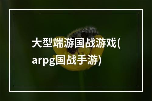 大型端游国战游戏(arpg国战手游)