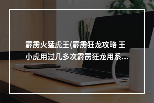 霹雳火猛虎王(霹雳狂龙攻略 王小虎用过几多次霹雳狂龙用系边个歹角)