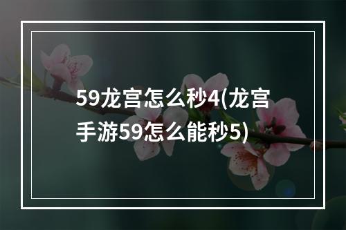 59龙宫怎么秒4(龙宫手游59怎么能秒5)