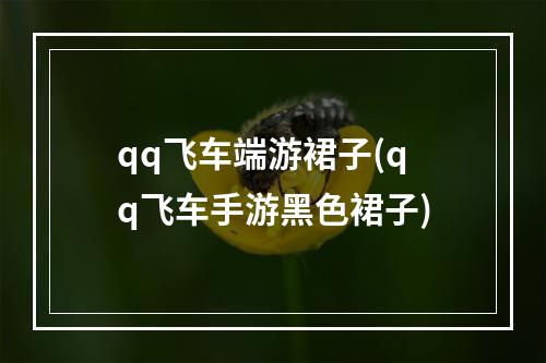 qq飞车端游裙子(qq飞车手游黑色裙子)