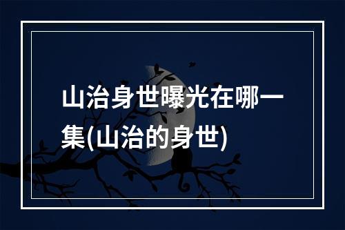 山治身世曝光在哪一集(山治的身世)