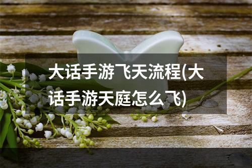 大话手游飞天流程(大话手游天庭怎么飞)