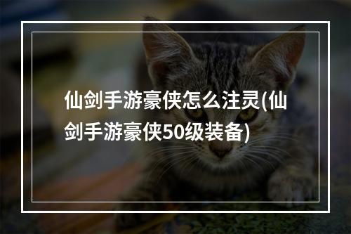 仙剑手游豪侠怎么注灵(仙剑手游豪侠50级装备)