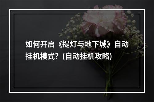 如何开启《提灯与地下城》自动挂机模式？(自动挂机攻略)