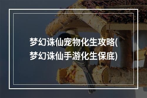 梦幻诛仙宠物化生攻略(梦幻诛仙手游化生保底)