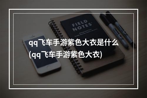 qq飞车手游紫色大衣是什么(qq飞车手游紫色大衣)