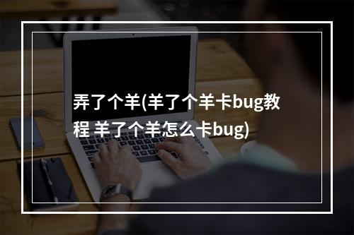 弄了个羊(羊了个羊卡bug教程 羊了个羊怎么卡bug)