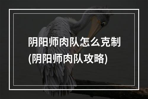 阴阳师肉队怎么克制(阴阳师肉队攻略)