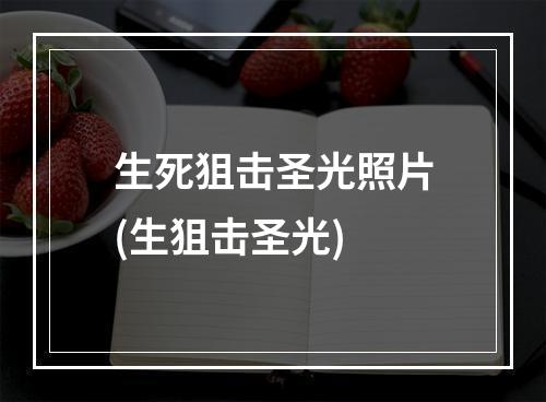 生死狙击圣光照片(生狙击圣光)