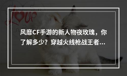 风靡CF手游的新人物夜玫瑰，你了解多少？穿越火线枪战王者必备神射手！(夜玫瑰上线，成为CF手游最强神射手？一掷千金，见证枪林弹雨中的传奇！)