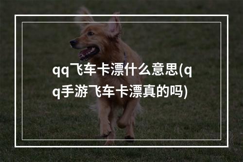 qq飞车卡漂什么意思(qq手游飞车卡漂真的吗)