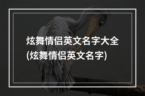 炫舞情侣英文名字大全(炫舞情侣英文名字)