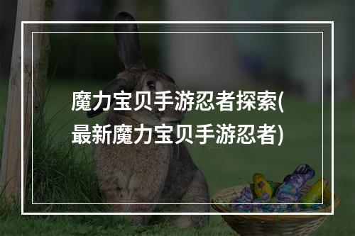 魔力宝贝手游忍者探索(最新魔力宝贝手游忍者)