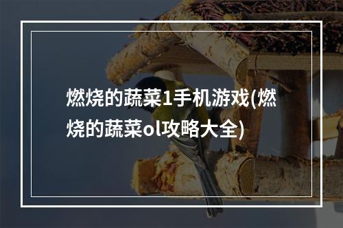 燃烧的蔬菜1手机游戏(燃烧的蔬菜ol攻略大全)