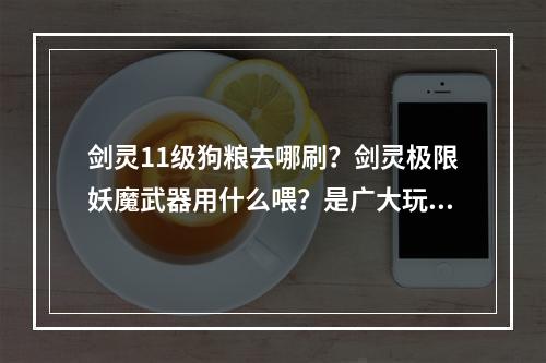 剑灵11级狗粮去哪刷？剑灵极限妖魔武器用什么喂？是广大玩家比较关心的问题。下面，我们一起来看一下剑灵中关于这些问题的解答。