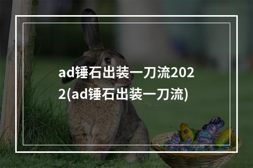 ad锤石出装一刀流2022(ad锤石出装一刀流)