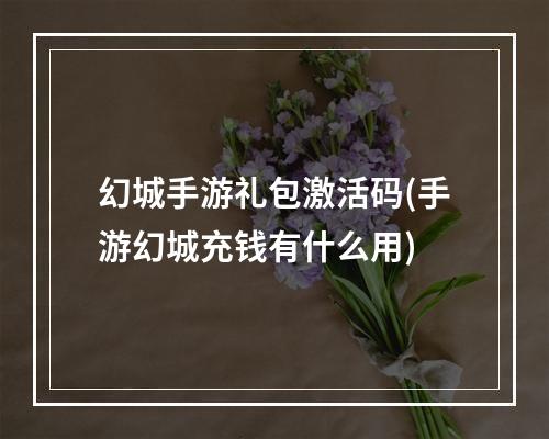 幻城手游礼包激活码(手游幻城充钱有什么用)