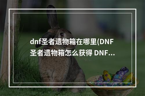 dnf圣者遗物箱在哪里(DNF圣者遗物箱怎么获得 DNF圣者遗物箱获得方法)