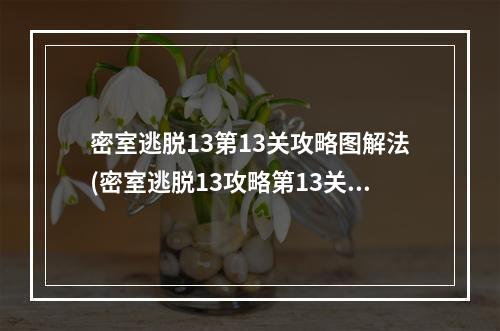 密室逃脱13第13关攻略图解法(密室逃脱13攻略第13关)