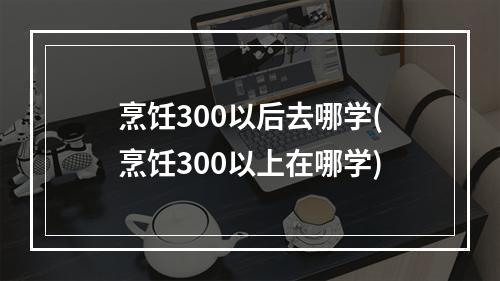 烹饪300以后去哪学(烹饪300以上在哪学)