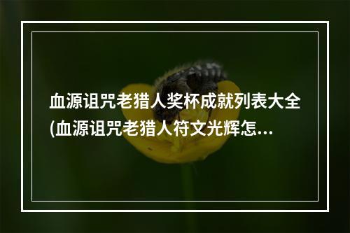 血源诅咒老猎人奖杯成就列表大全(血源诅咒老猎人符文光辉怎么获得)