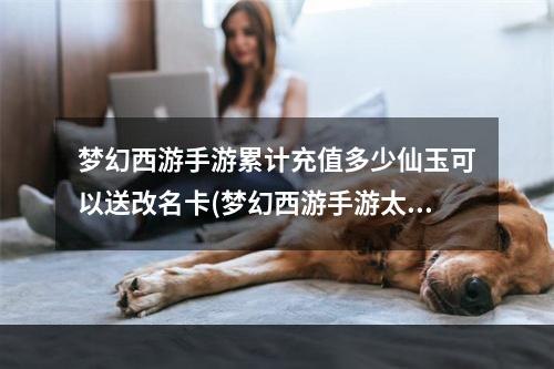 梦幻西游手游累计充值多少仙玉可以送改名卡(梦幻西游手游太累)