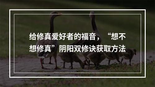 给修真爱好者的福音，“想不想修真”阴阳双修诀获取方法