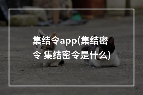 集结令app(集结密令 集结密令是什么)