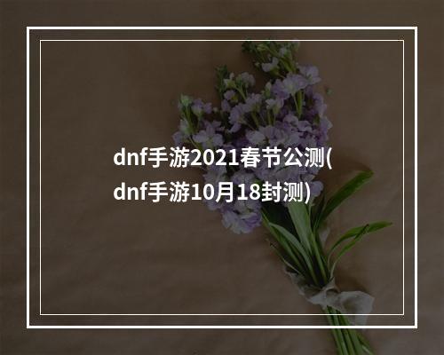 dnf手游2021春节公测(dnf手游10月18封测)