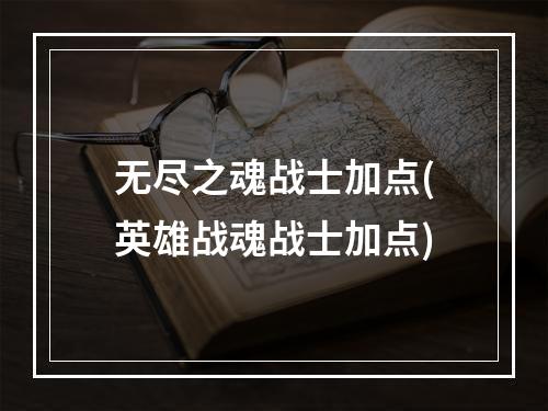 无尽之魂战士加点(英雄战魂战士加点)