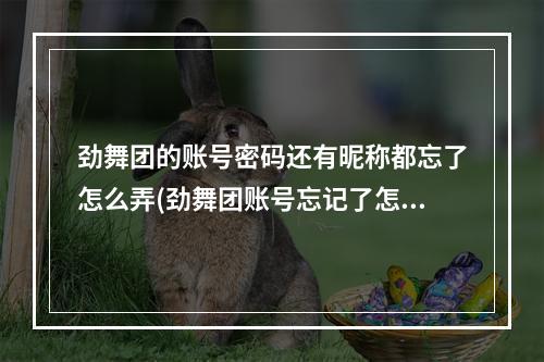 劲舞团的账号密码还有昵称都忘了怎么弄(劲舞团账号忘记了怎么办 劲舞团账号怎么找回)