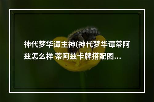 神代梦华谭主神(神代梦华谭蒂阿兹怎么样 蒂阿兹卡牌搭配图鉴介绍)