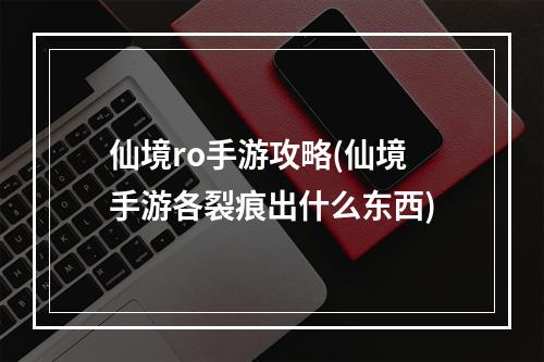 仙境ro手游攻略(仙境手游各裂痕出什么东西)