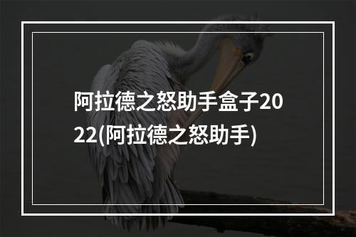 阿拉德之怒助手盒子2022(阿拉德之怒助手)