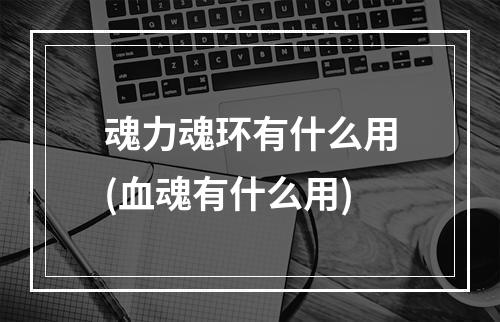 魂力魂环有什么用(血魂有什么用)