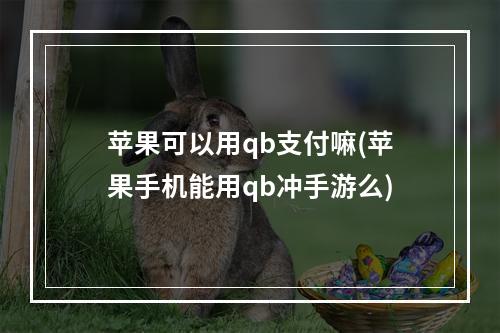 苹果可以用qb支付嘛(苹果手机能用qb冲手游么)