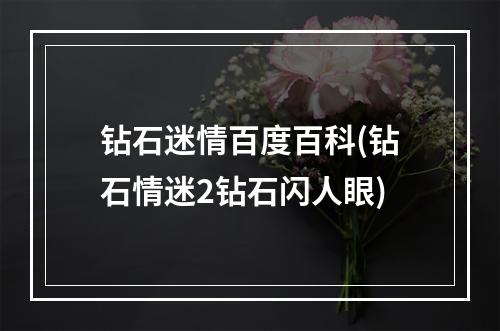 钻石迷情百度百科(钻石情迷2钻石闪人眼)